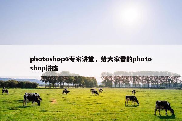photoshop6专家讲堂，给大家看的photoshop讲座