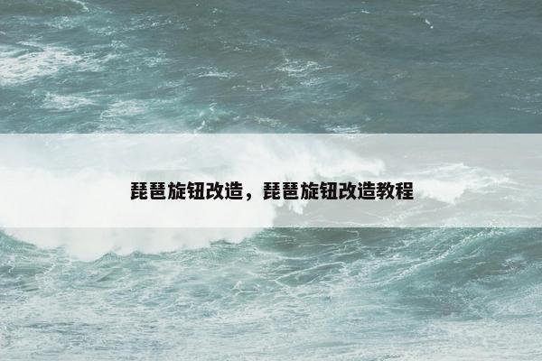 琵琶旋钮改造，琵琶旋钮改造教程