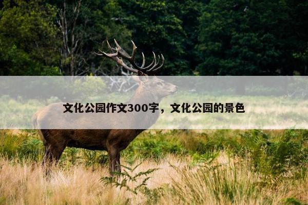 文化公园作文300字,文化公园的景色 文化公园作文300字,文化公园的景色