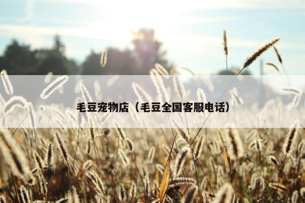 毛豆宠物店(毛豆全国客服电话) 毛豆宠物店(毛豆全国客服电话)