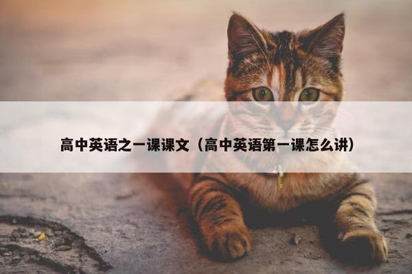 高中英语之一课课文（高中英语第一课怎么讲）