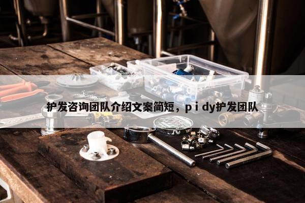 护发咨询团队介绍文案简短，pⅰdy护发团队