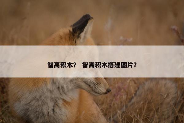 智高积木？ 智高积木搭建图片？