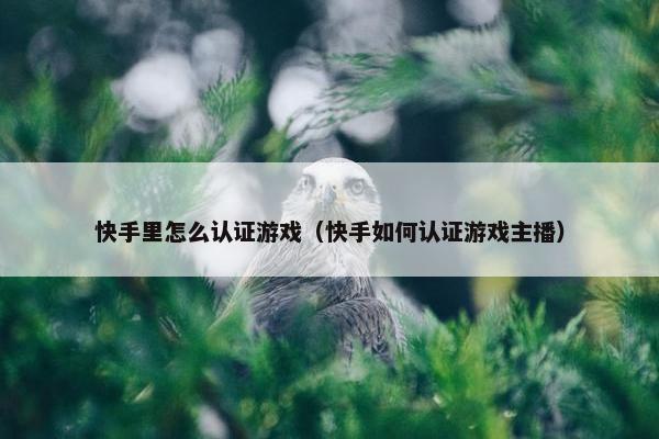 快手里怎么认证游戏(快手如何认证游戏主播) 快手里怎么认证游戏(快手如何认证游戏主播)