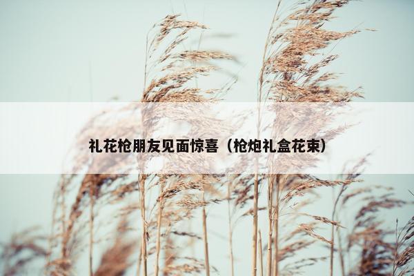礼花枪朋友见面惊喜(枪炮礼盒花束) 礼花枪朋友见面惊喜(枪炮礼盒花束)