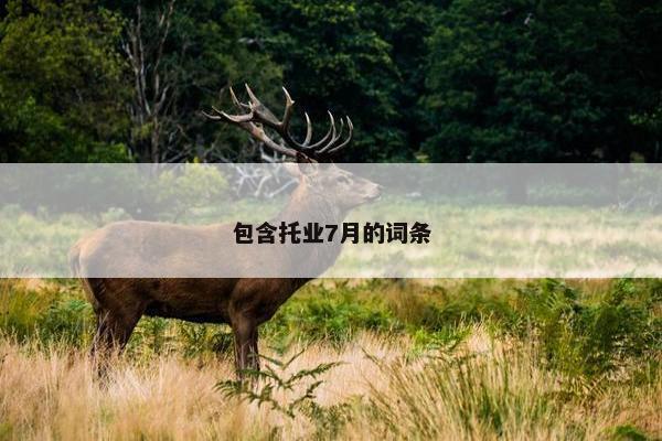 包含托业7月的词条