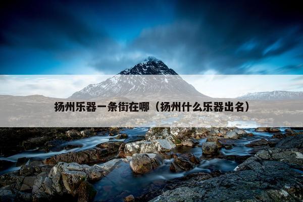 扬州乐器一条街在哪（扬州什么乐器出名）