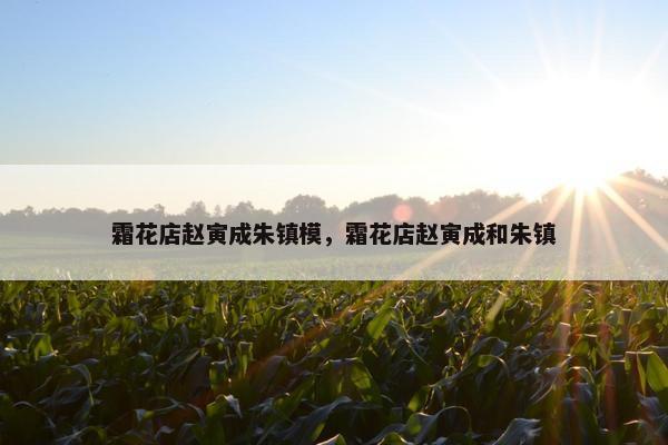 霜花店赵寅成朱镇模，霜花店赵寅成和朱镇