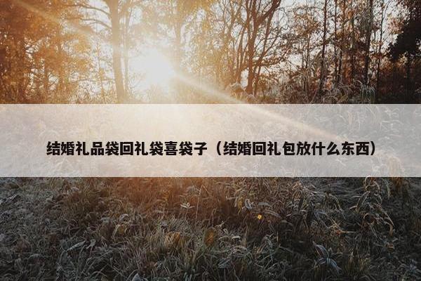 结婚礼品袋回礼袋喜袋子（结婚回礼包放什么东西）