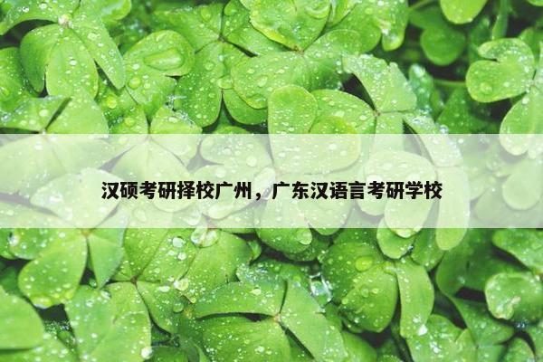 汉硕考研择校广州，广东汉语言考研学校
