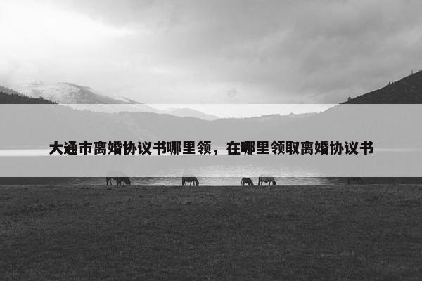 大通市离婚协议书哪里领，在哪里领取离婚协议书