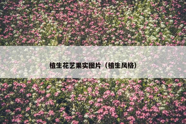 植生花艺果实图片（植生风格）