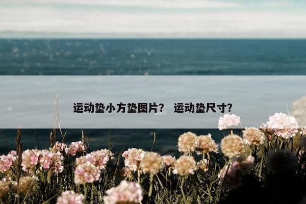 运动垫小方垫图片? 运动垫尺寸? 运动垫小方垫图片? 运动垫尺寸?