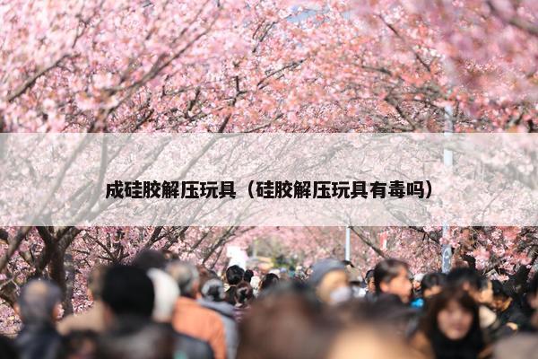 成硅胶解压玩具（硅胶解压玩具有毒吗）