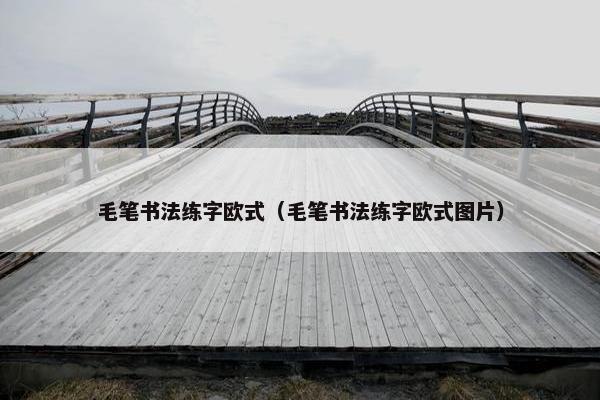 毛笔书法练字欧式（毛笔书法练字欧式图片）