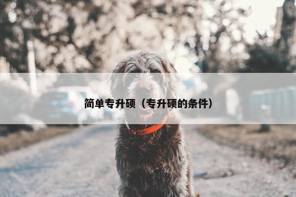 简单专升硕（专升硕的条件）