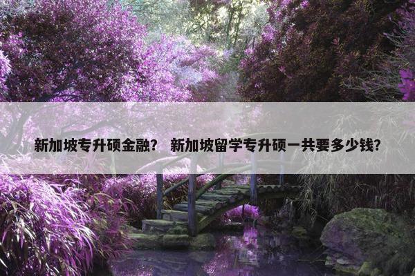 新加坡专升硕金融？ 新加坡留学专升硕一共要多少钱？