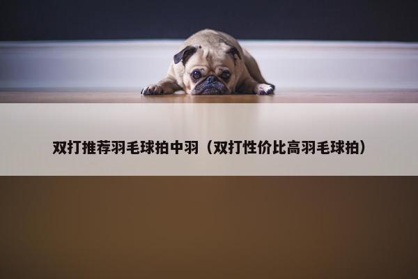 双打推荐羽毛球拍中羽(双打性价比高羽毛球拍) 双打推荐羽毛球拍中羽(双打性价比高羽毛球拍)