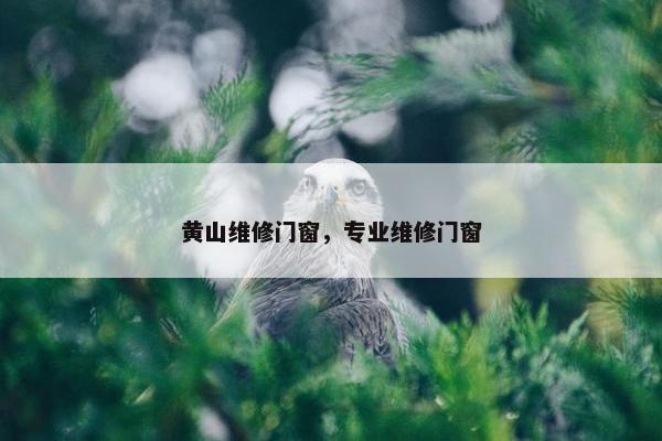 黄山维修门窗，专业维修门窗