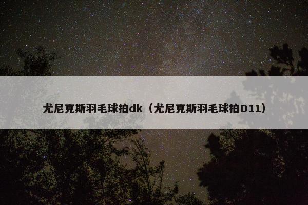 尤尼克斯羽毛球拍dk（尤尼克斯羽毛球拍D11）