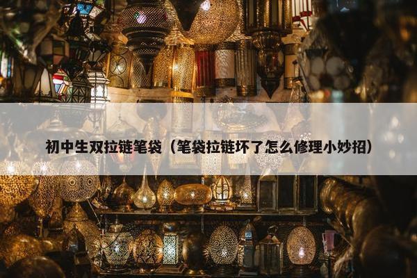 初中生双拉链笔袋（笔袋拉链坏了怎么修理小妙招）