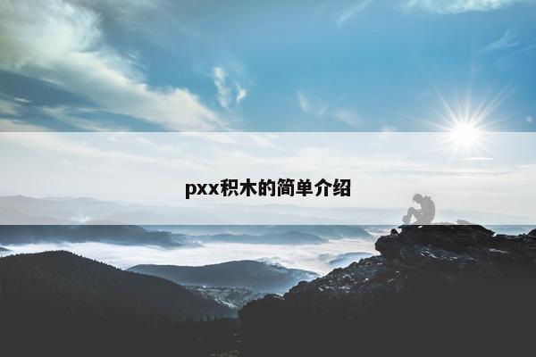 pxx积木的简单介绍