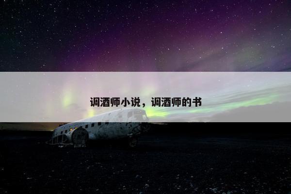 调酒师小说，调酒师的书