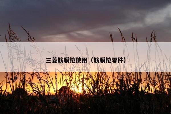 三菱筋膜枪使用（筋膜枪零件）