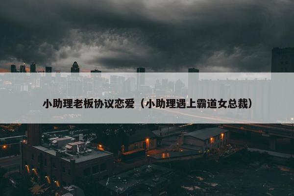 小助理老板协议恋爱（小助理遇上霸道女总裁）