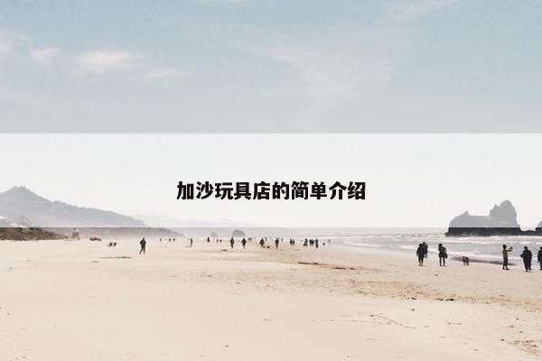 加沙玩具店的简单介绍 加沙玩具店的简单介绍