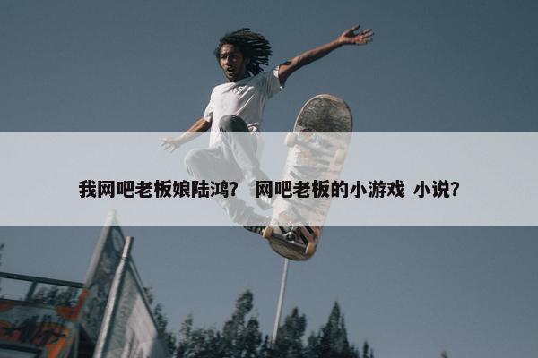 我网吧老板娘陆鸿？ 网吧老板的小游戏 小说？