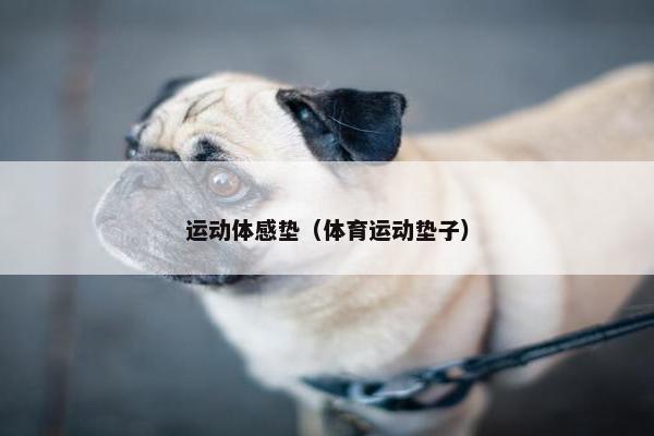 运动体感垫（体育运动垫子）