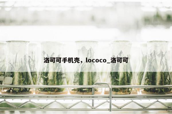 洛可可手机壳，lococo_洛可可