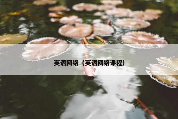 英语网络（英语网络课程）