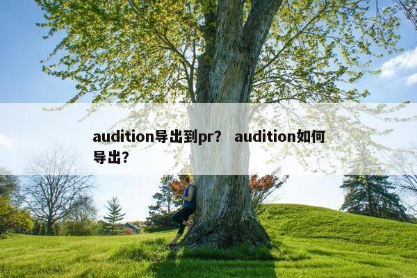 audition导出到pr? audition如何导出? audition导出到pr? audition如何导出?