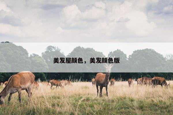 美发屋颜色,美发颜色版 美发屋颜色,美发颜色版