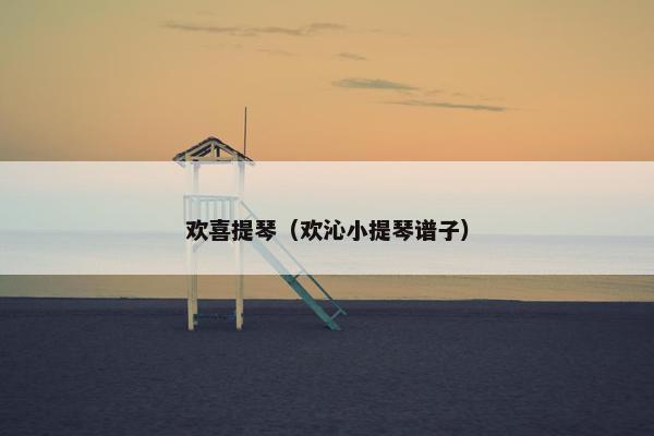 欢喜提琴（欢沁小提琴谱子）