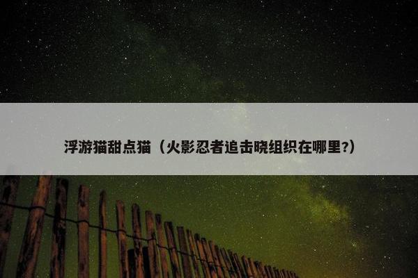 浮游猫甜点猫(火影忍者追击晓组织在哪里?) 浮游猫甜点猫(火影忍者追击晓组织在哪里?)