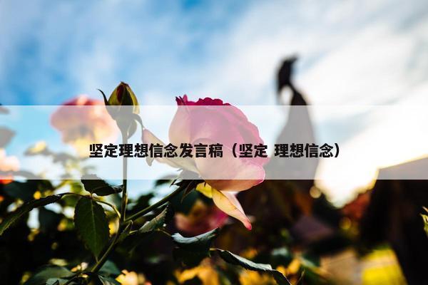 坚定理想信念发言稿（坚定 理想信念）