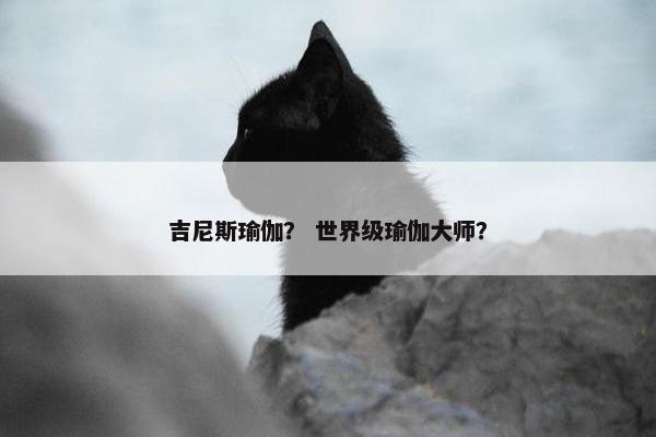 吉尼斯瑜伽? 世界级瑜伽大师? 吉尼斯瑜伽? 世界级瑜伽大师?