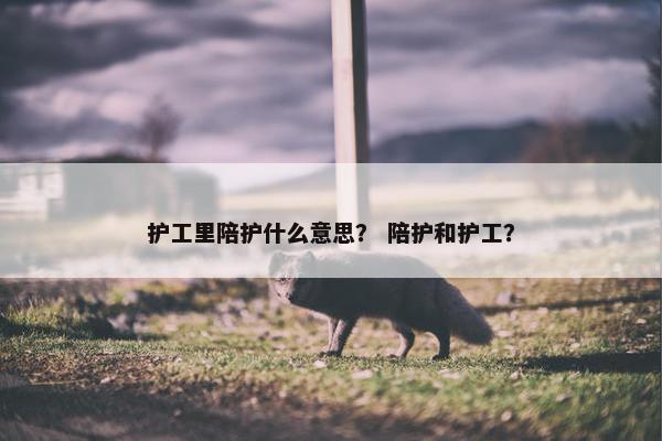 护工里陪护什么意思？ 陪护和护工？