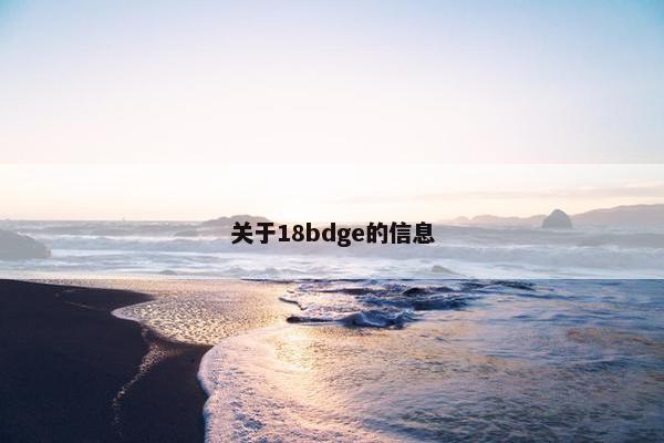 关于18bdge的信息 关于18bdge的信息