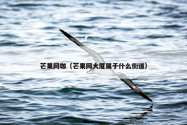芒果网咖(芒果网大厦属于什么街道) 芒果网咖(芒果网大厦属于什么街道)