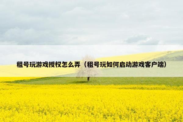 租号玩游戏授权怎么弄(租号玩如何启动游戏客户端) 租号玩游戏授权怎么弄(租号玩如何启动游戏客户端)