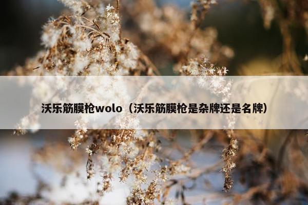 沃乐筋膜枪wolo(沃乐筋膜枪是杂牌还是名牌) 沃乐筋膜枪wolo(沃乐筋膜枪是杂牌还是名牌)
