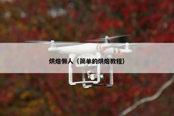 烘焙懒人（简单的烘焙教程）