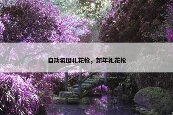 自动氛围礼花枪，新年礼花枪