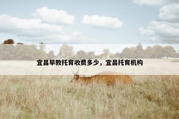 宜昌早教托育收费多少,宜昌托育机构 宜昌早教托育收费多少,宜昌托育机构