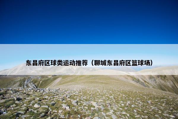 东昌府区球类运动推荐（聊城东昌府区篮球场）