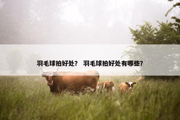 羽毛球拍好处？ 羽毛球拍好处有哪些？